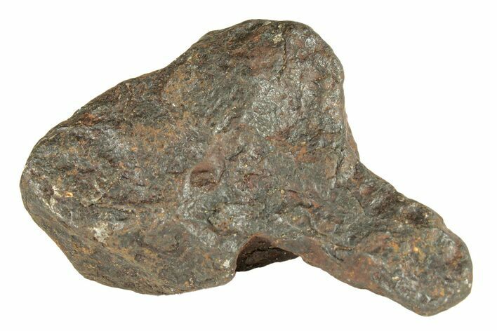 Canyon Diablo Iron Meteorite ( g) - Arizona #270691